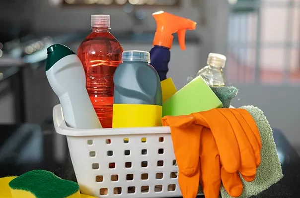 HOME CARE (DOMISSANITÁRIOS)